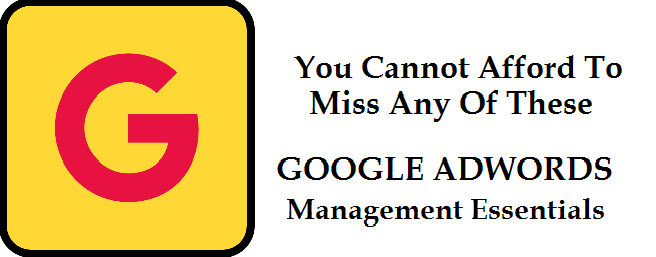 google-adwords-management-essentials.png