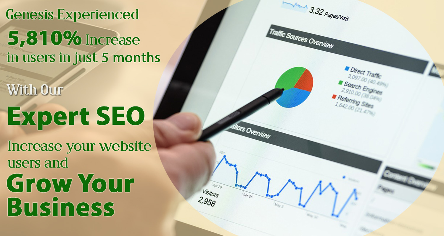 expert SEO services in Delhi