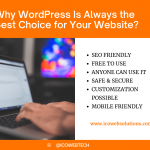 why wordpress is always the best choice for your website