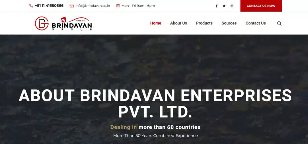 Business website design