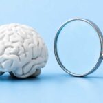 The Human Psychology Behind Modern SEO Success