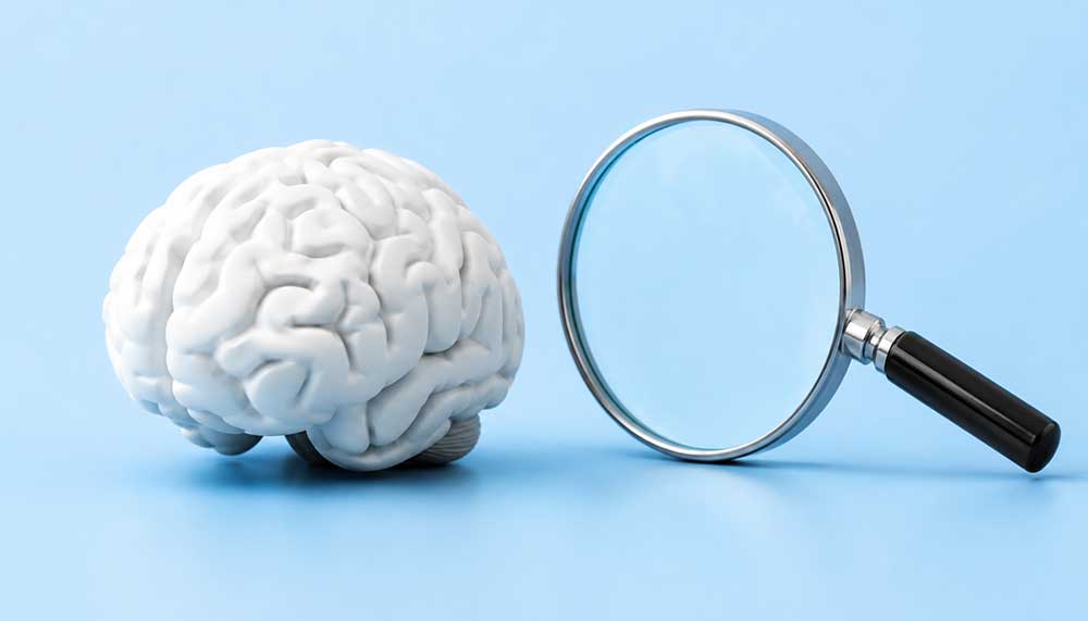 The Human Psychology Behind Modern SEO Success